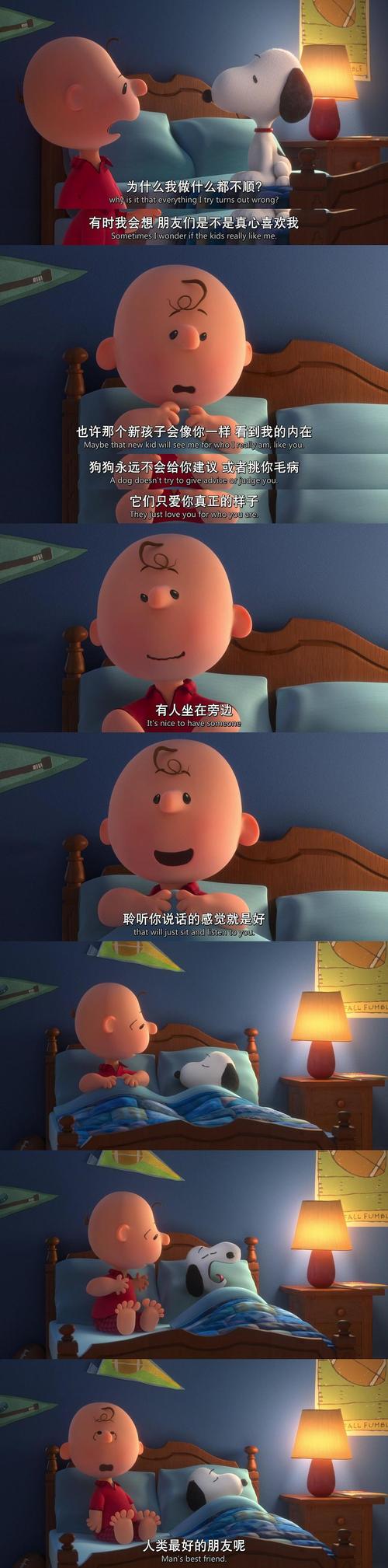 抖乳动态的相关介绍