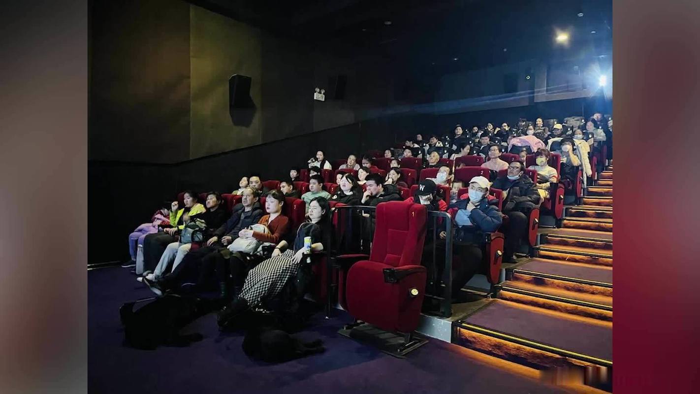 盲人电影院无障碍观影体验 | 视障人士专用有声电影剧场 | 公益盲人影院服务指南