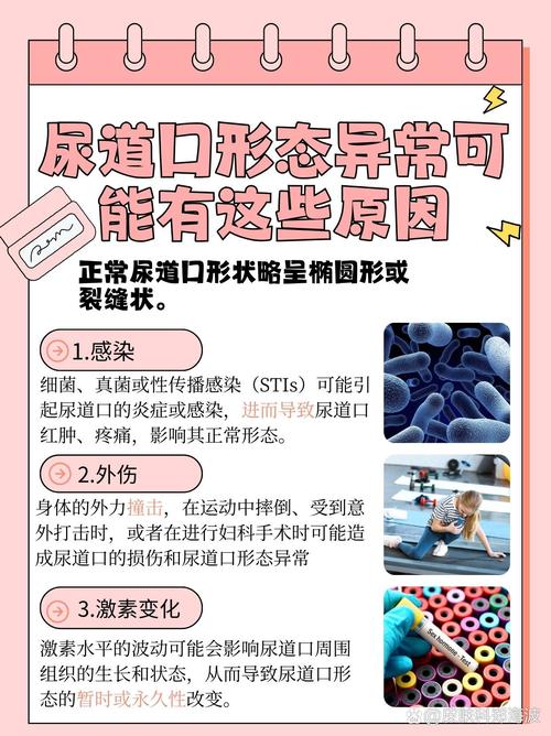 我和美女老师的相关介绍