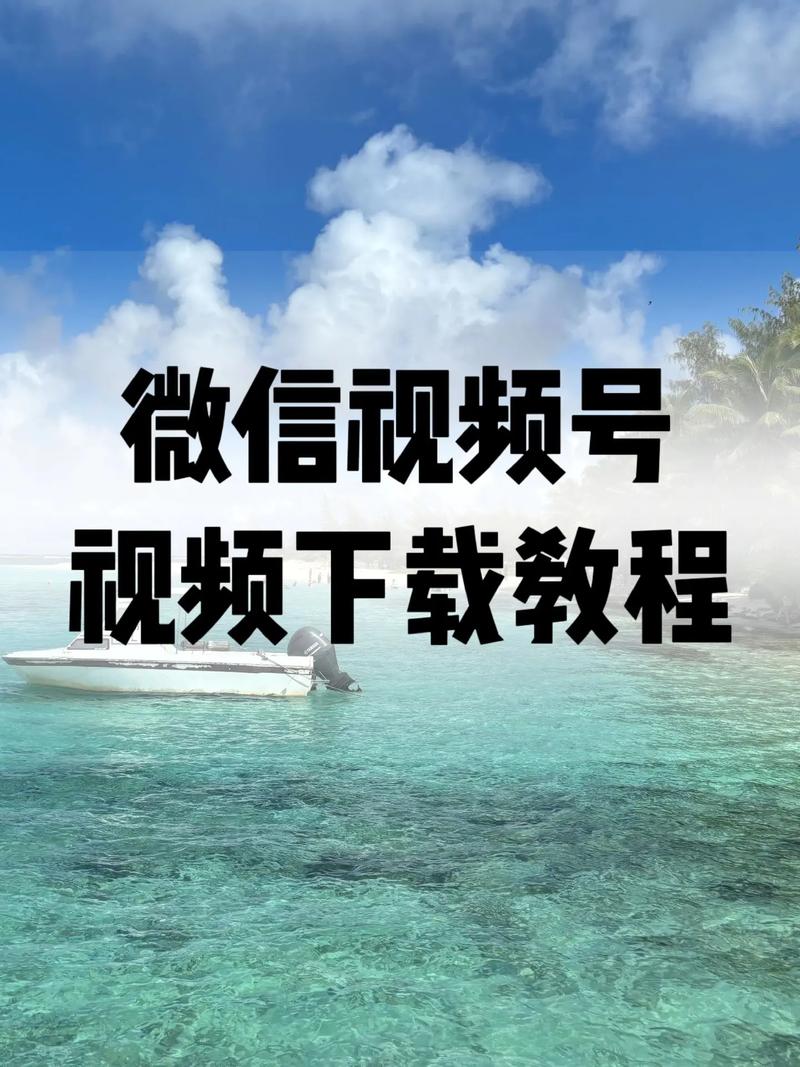 高清不卡码二区的相关介绍
