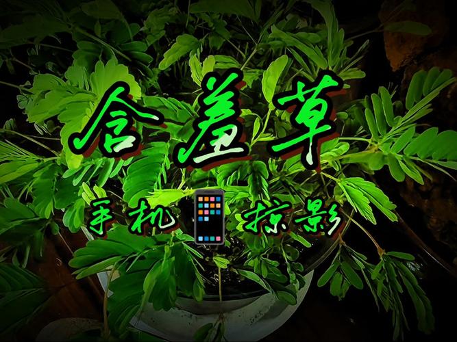 家庭影院VR沉浸式体验 | 私人3D巨幕大片推荐 杜比全景声