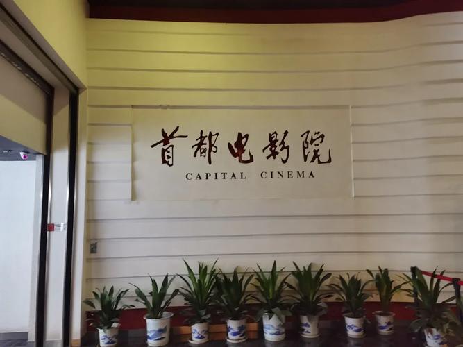 亚洲少妇精品自拍av的相关介绍