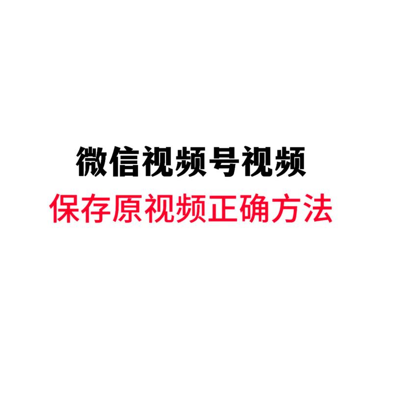 精品久久久久久久久精品的相关介绍