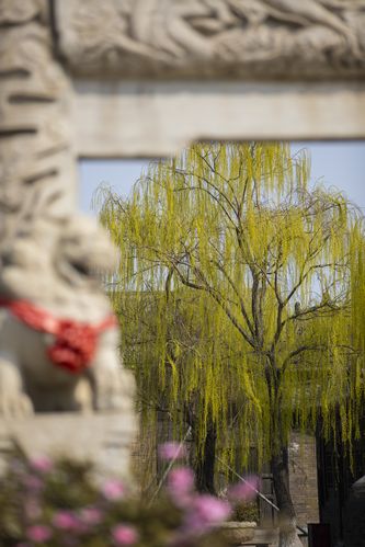 根据您的要求，生成一个SEO标题如下：

**18禁止观看在线入口 | 成人内容安全访问指南 | 合法合规影视平台推荐**