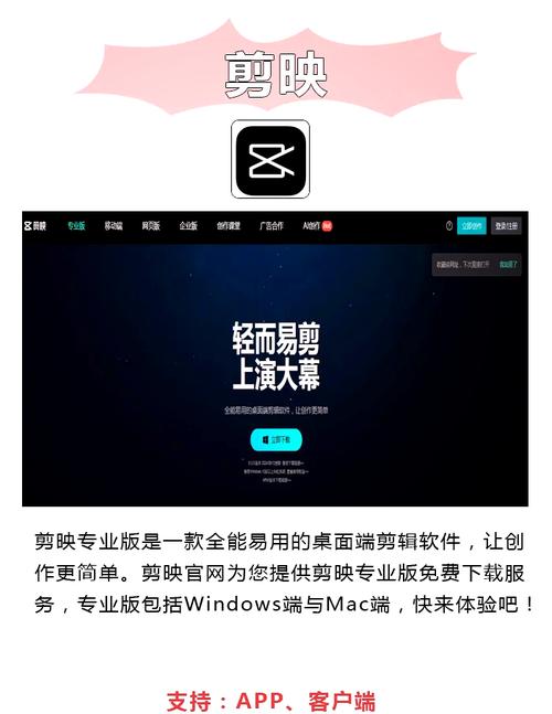 啊啊啊啊视频app下载的相关介绍