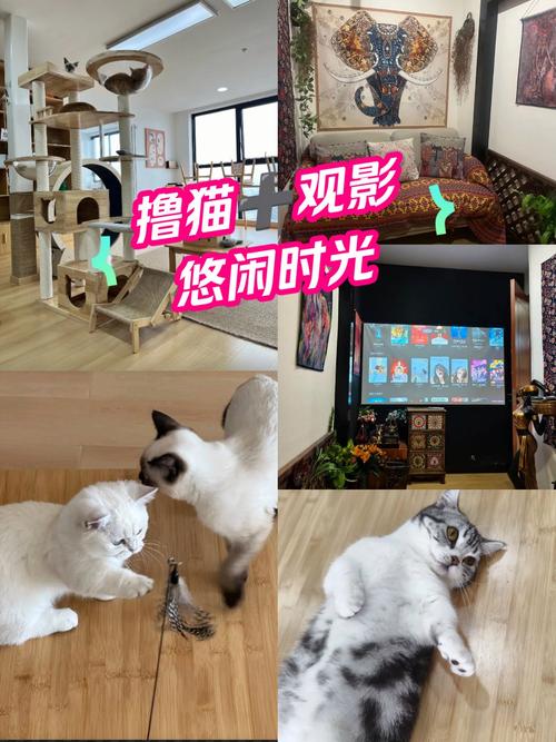 西单大悦城电影院影讯 | 今日排片表 | 最新电影场次查询 | 热门影片推荐