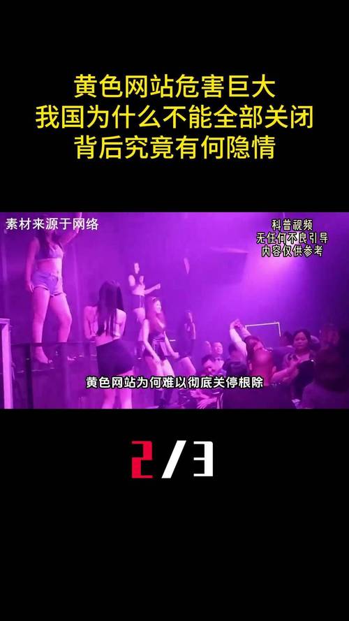 根据要求，生成的SEO标题如下：

**十八岁禁止网站在线观看 - 成人内容访问限制与安全浏览指南**