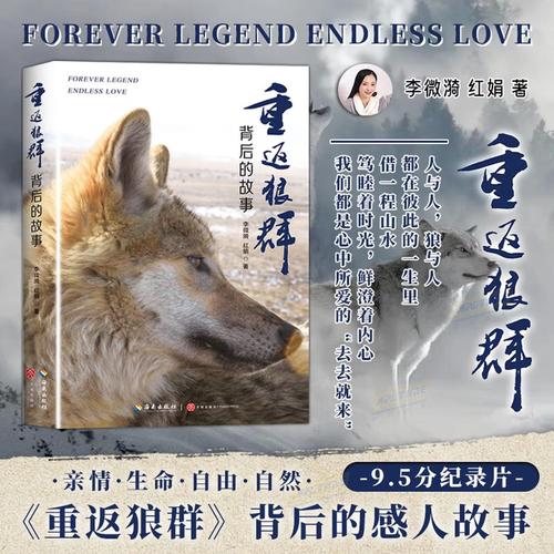 策驰影院官网 - 最新热播电影免费在线观看,高清无广告追剧首选平台