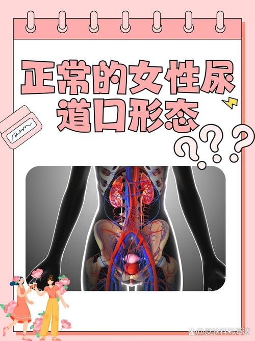 97人伦影院a级毛片的相关介绍